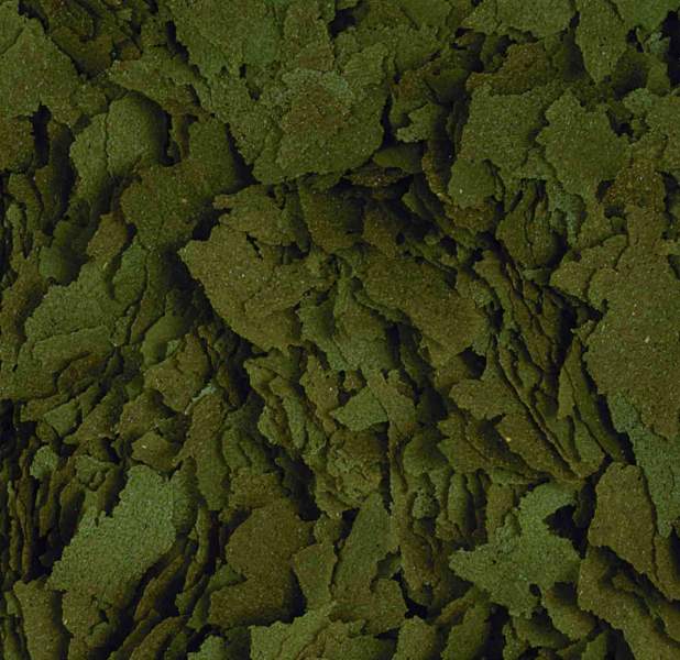 Preview: Spirulina Flakes