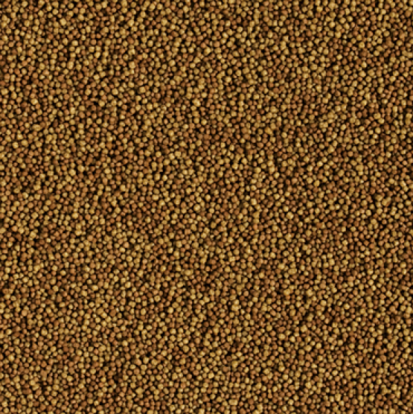Preview: Tropical Granulat
