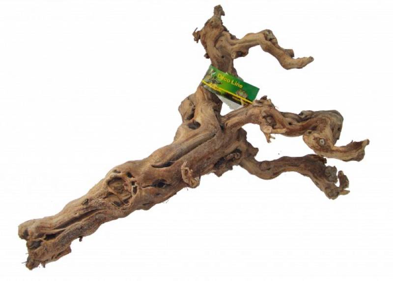 Preview: Lucky Reptile Premium Rebholz