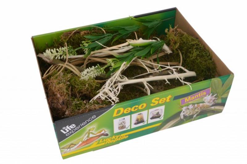 Preview: Life Experience-Deco Set