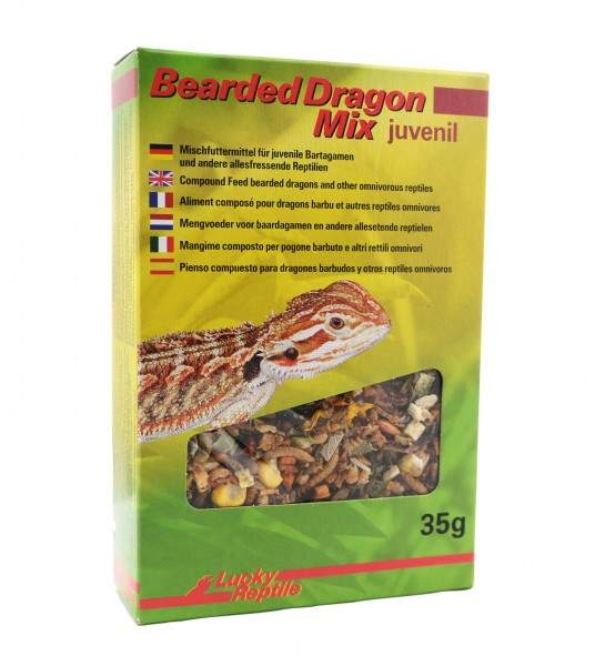Preview: Lucky Reptile Bearded Dragon