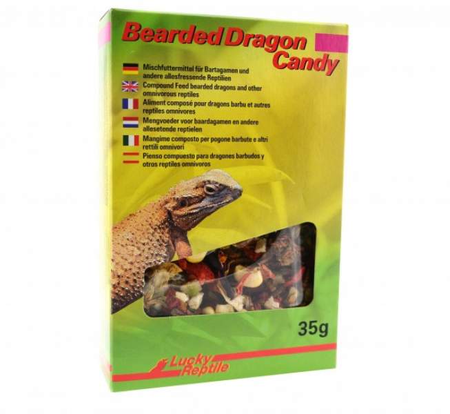 Preview: Lucky Reptile Bearded Dragon