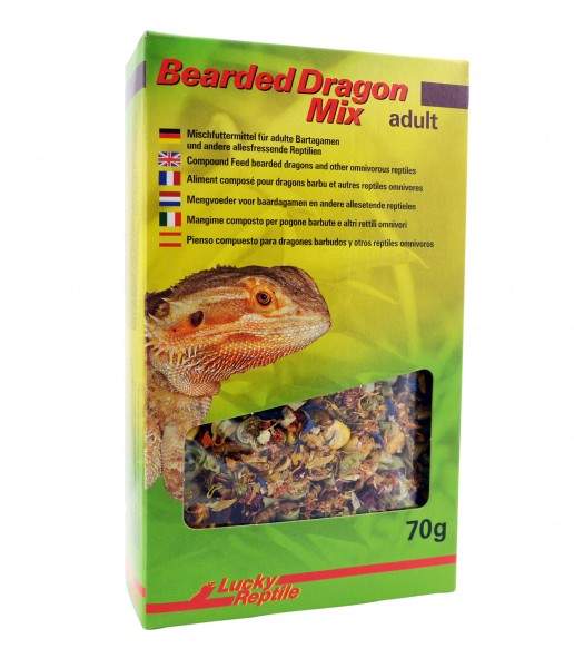 Preview: Lucky Reptile Bearded Dragon