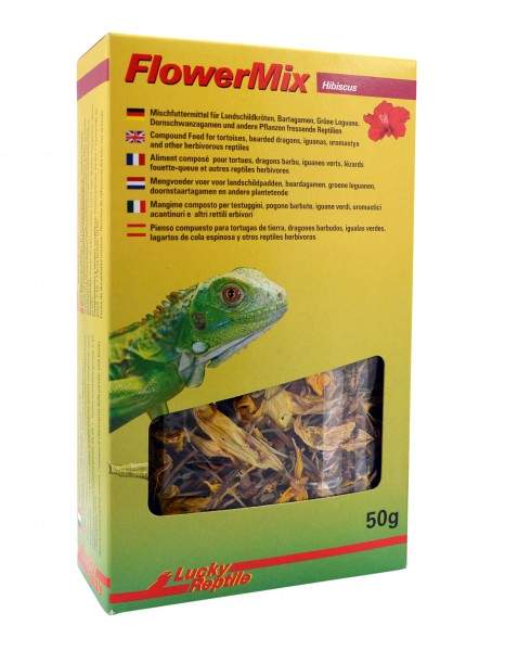 Preview: Lucky Reptile - Flower Mix