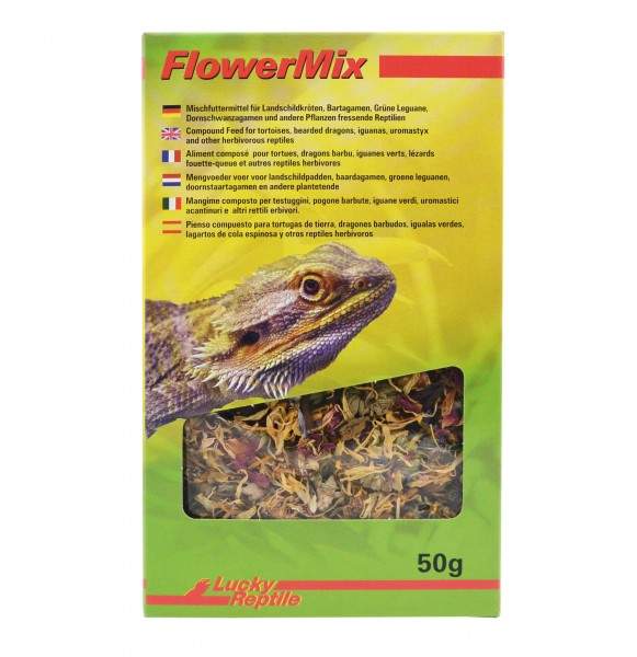 Lucky Reptile - Flower Mix