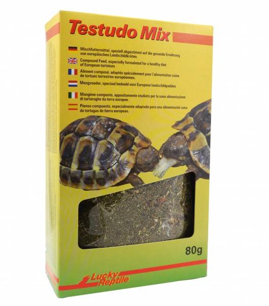 Preview: Lucky Reptile Testudo Mix