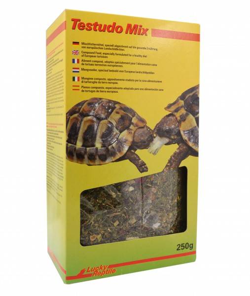 Preview: Lucky Reptile Testudo Mix