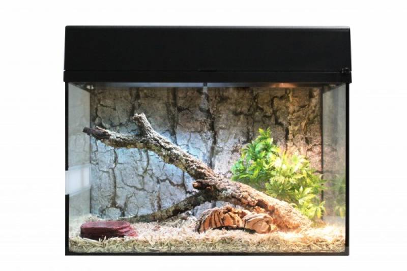 Preview: Lucky Reptile Starter Kit "Schlange"