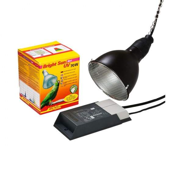 Lucky Reptile Bright Sun Set "Bird" 70 W