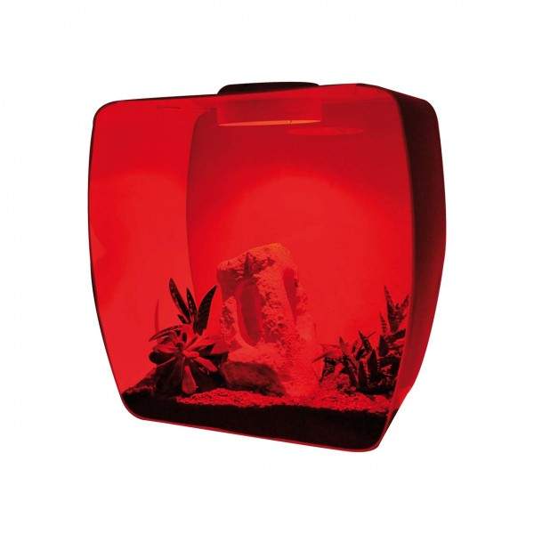 Preview: Lucky Reptile Life Light Multicolor mit Farbwechselfunktion