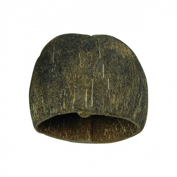 Preview: Lucky Reptile Nature`s Treasure