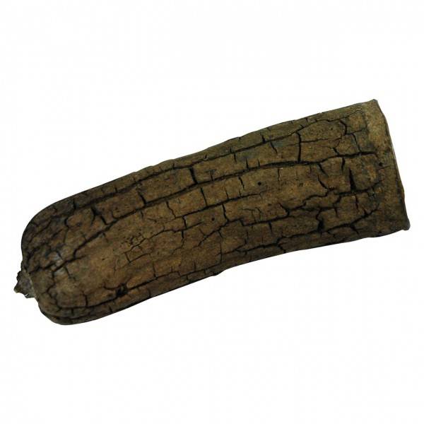 Preview: Lucky Reptile Nature`s Treasure