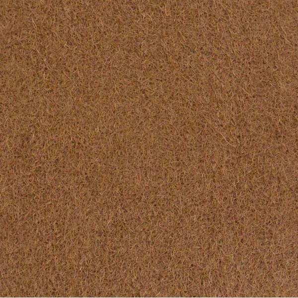 Preview: Lucky Reptile Coco Background