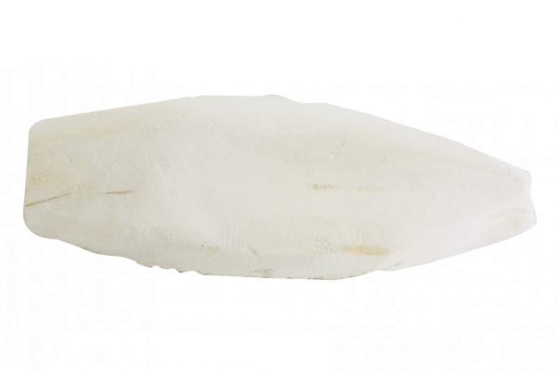 Preview: Lucky Reptile Sepia Bone