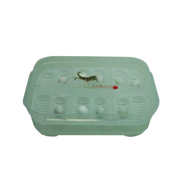 Preview: Lucky Reptile HatchBox
