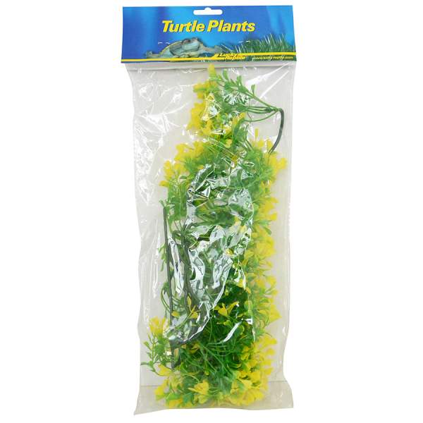 Preview: Lucky Reptile Turtle Plant