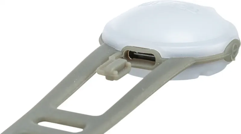 Preview: USB Flasher für Hunde