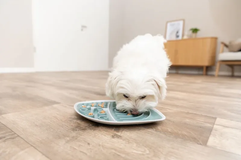 Lick’n'Snack Schleckplatte