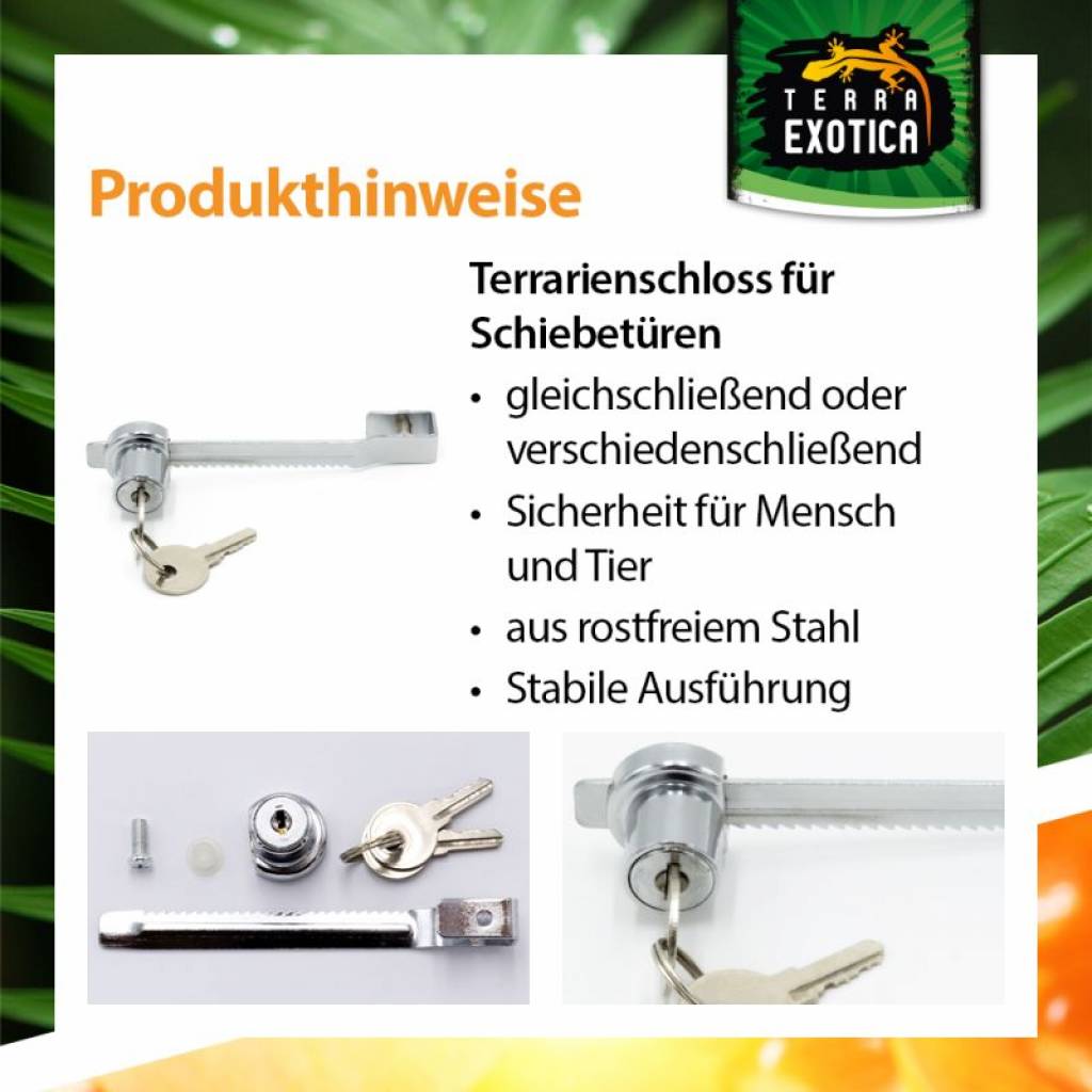 Terrarienschloss