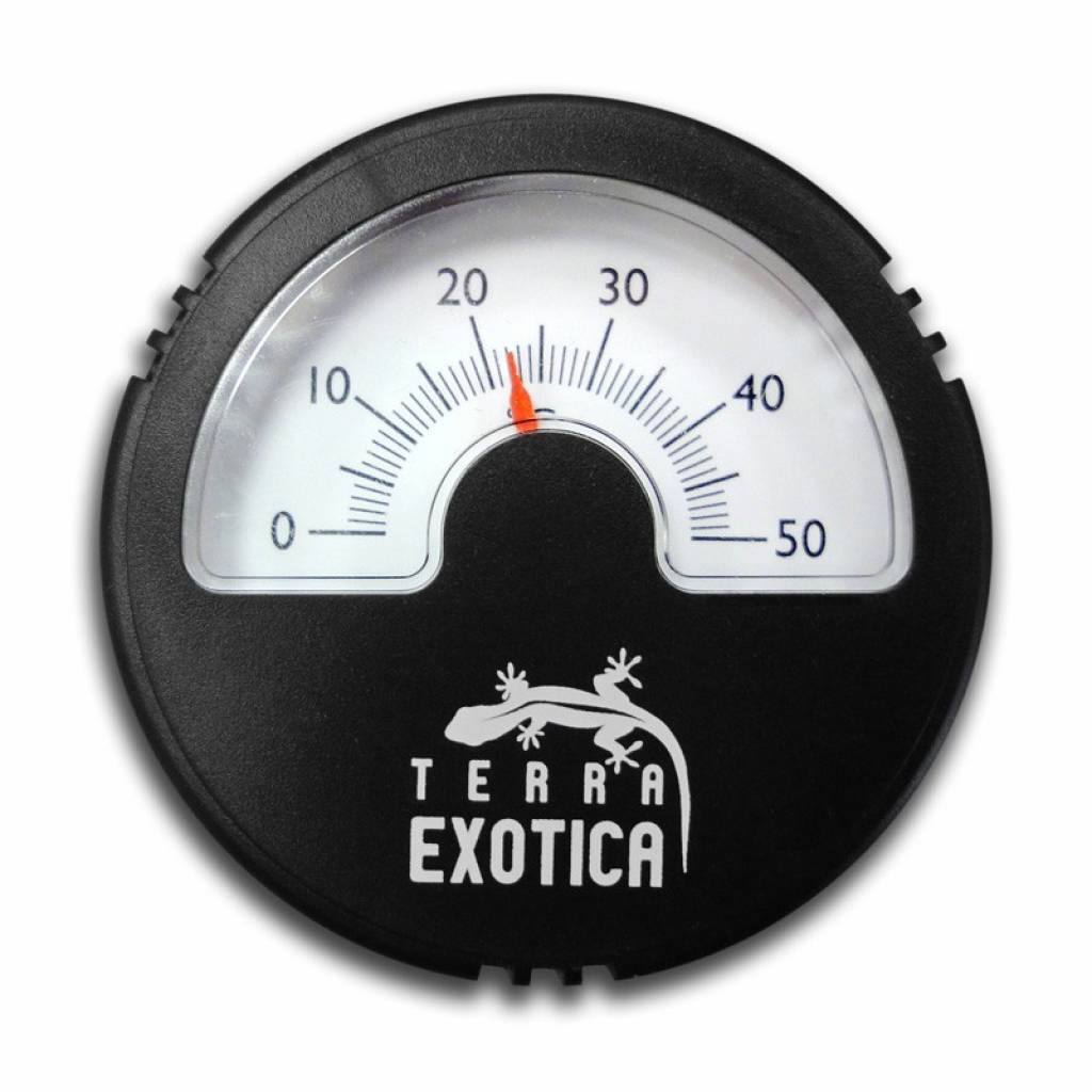 Thermometer analog