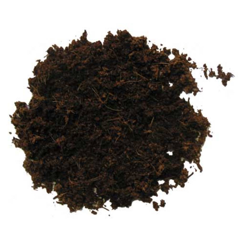 Terrano Quellhumus