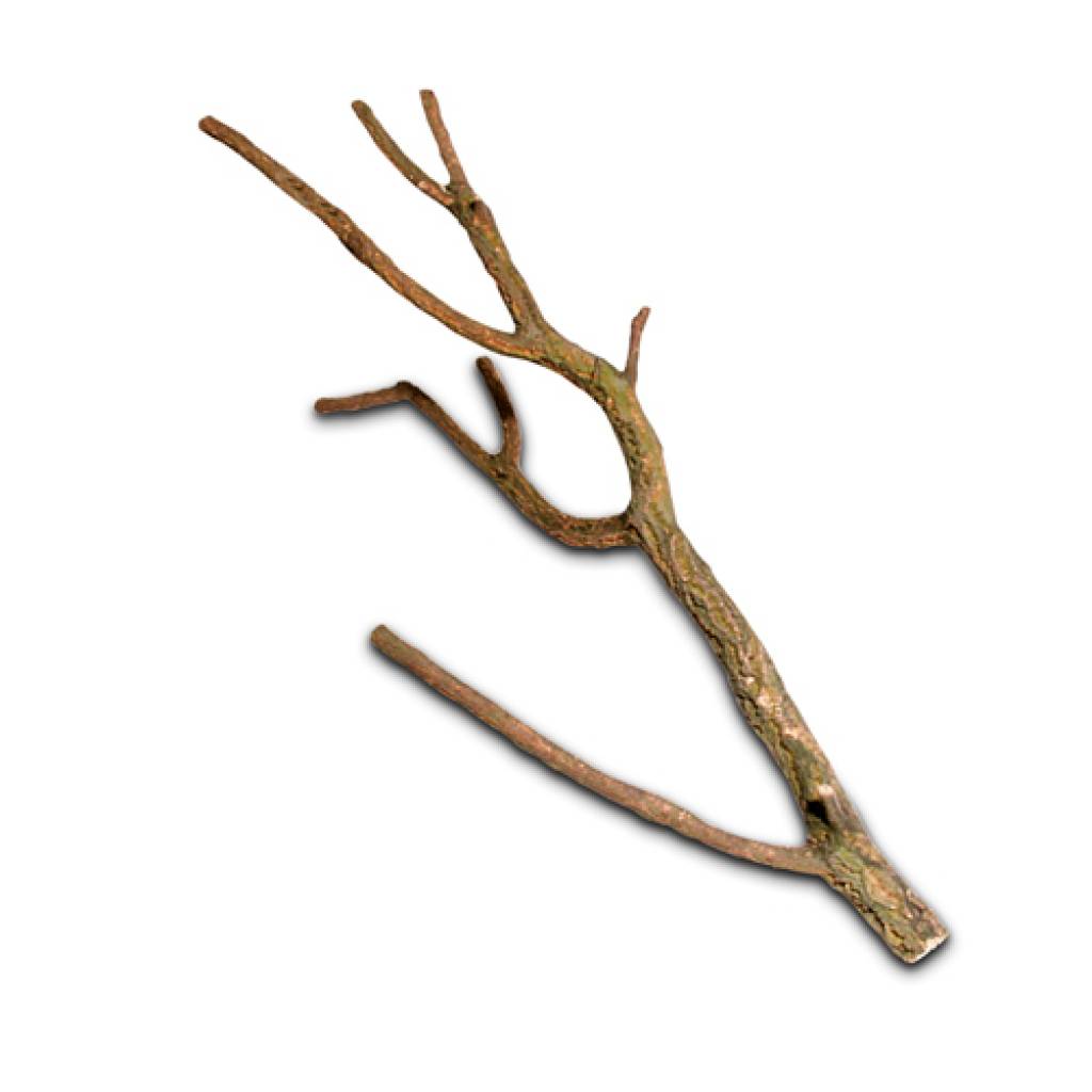 Korktronchos