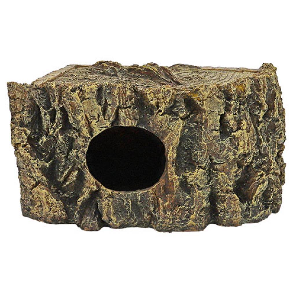 Eckhöhle Bark