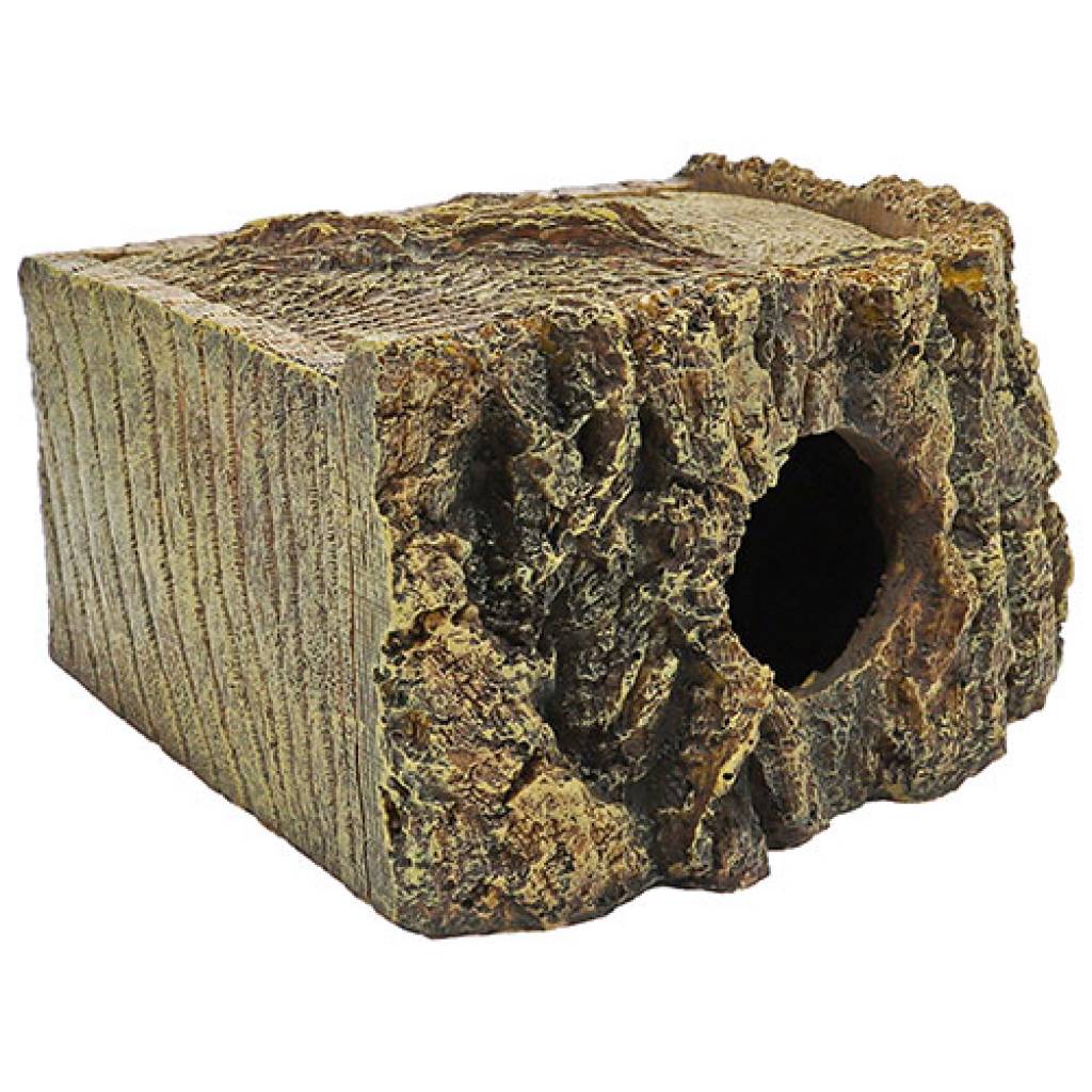 Eckhöhle Bark