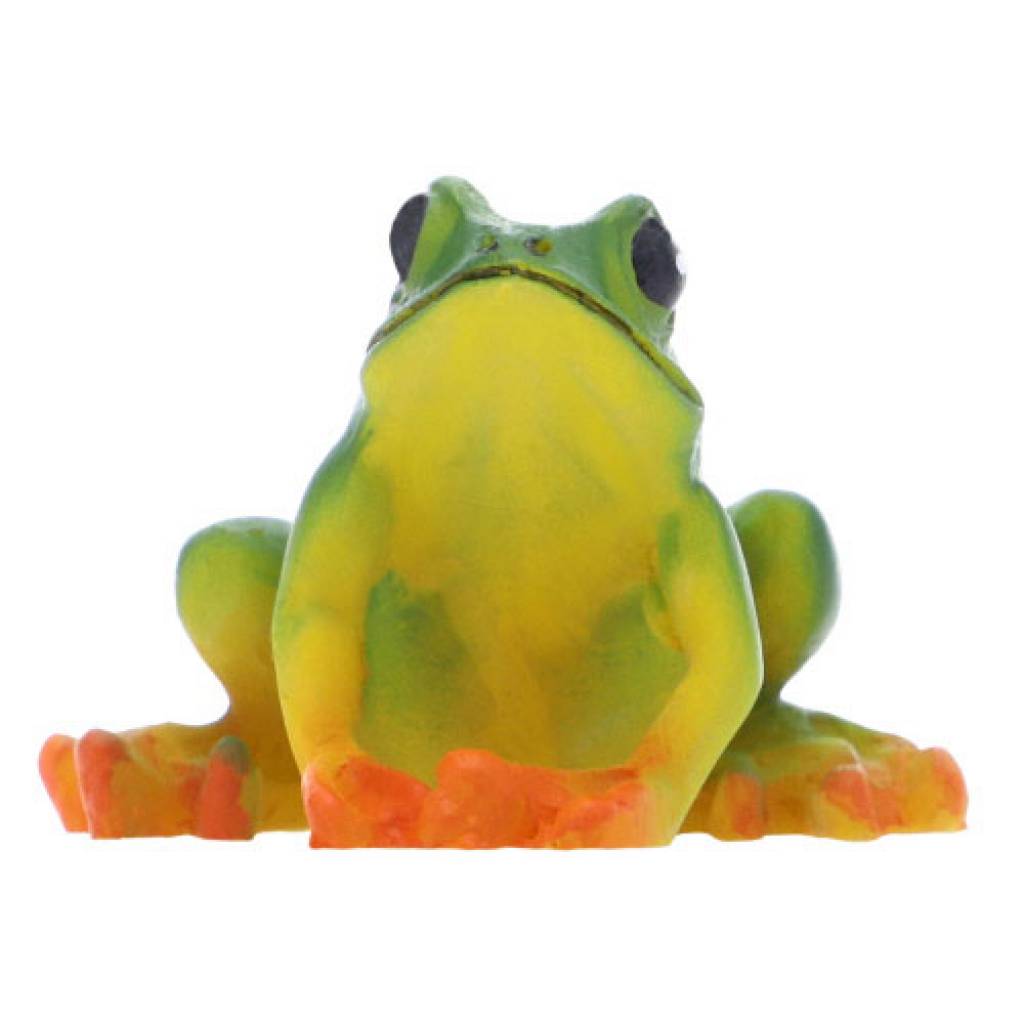 The Frog