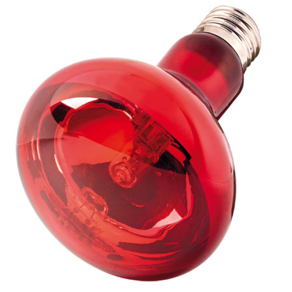 Infraredlight Eco