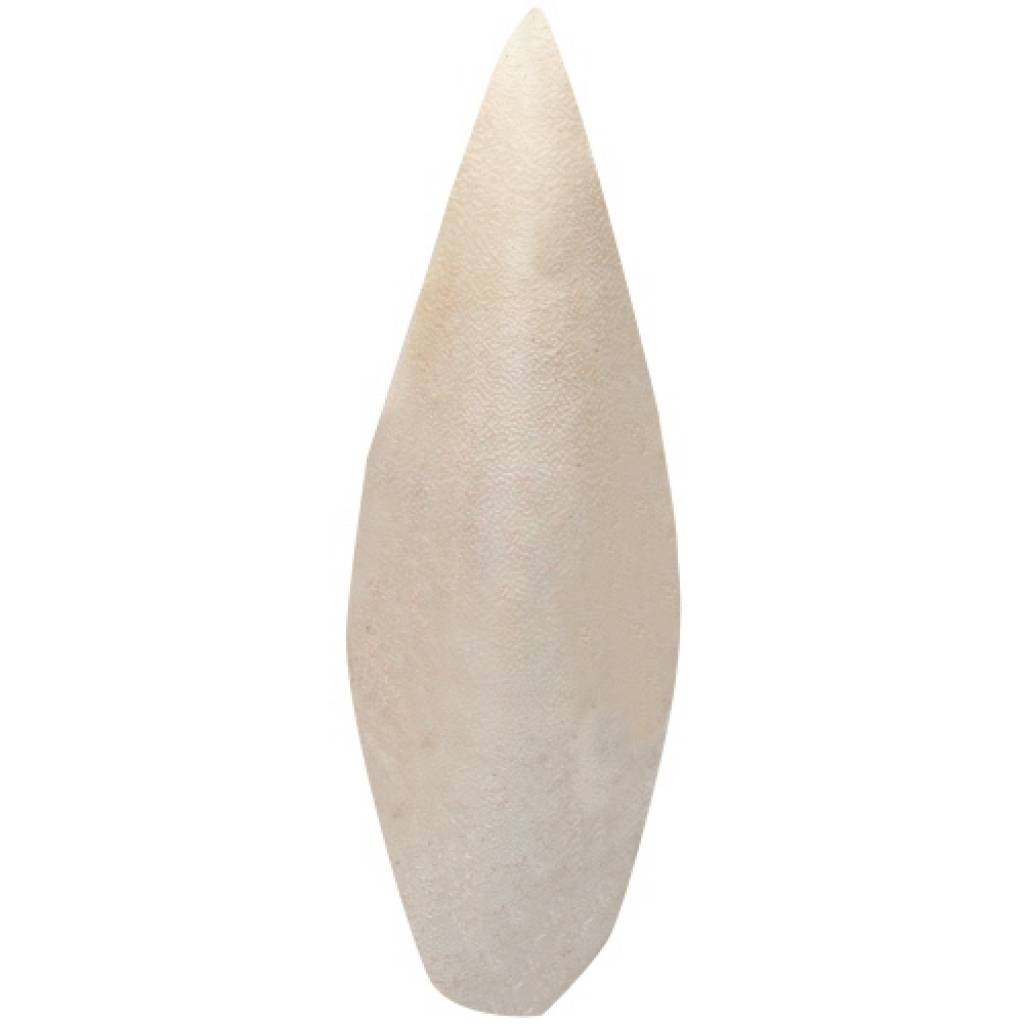 Sepia Bone Tintenfischschulp