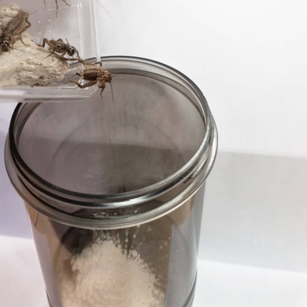 Cricket Vitamizer Bestäubungshilfe für Futterinsekten