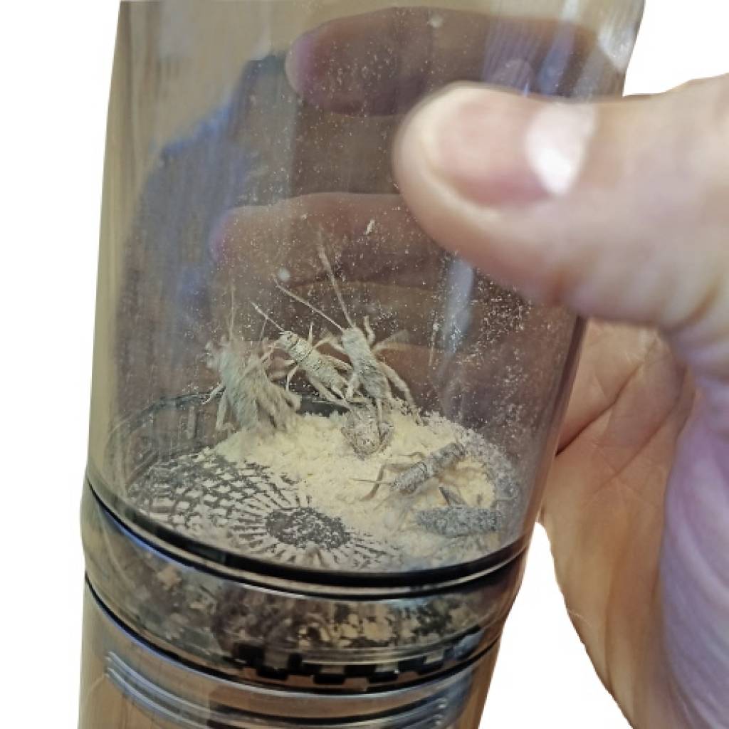 Cricket Vitamizer Bestäubungshilfe für Futterinsekten