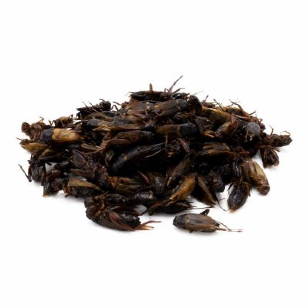 Getrocknete Mittelmeergrillen - 185 g