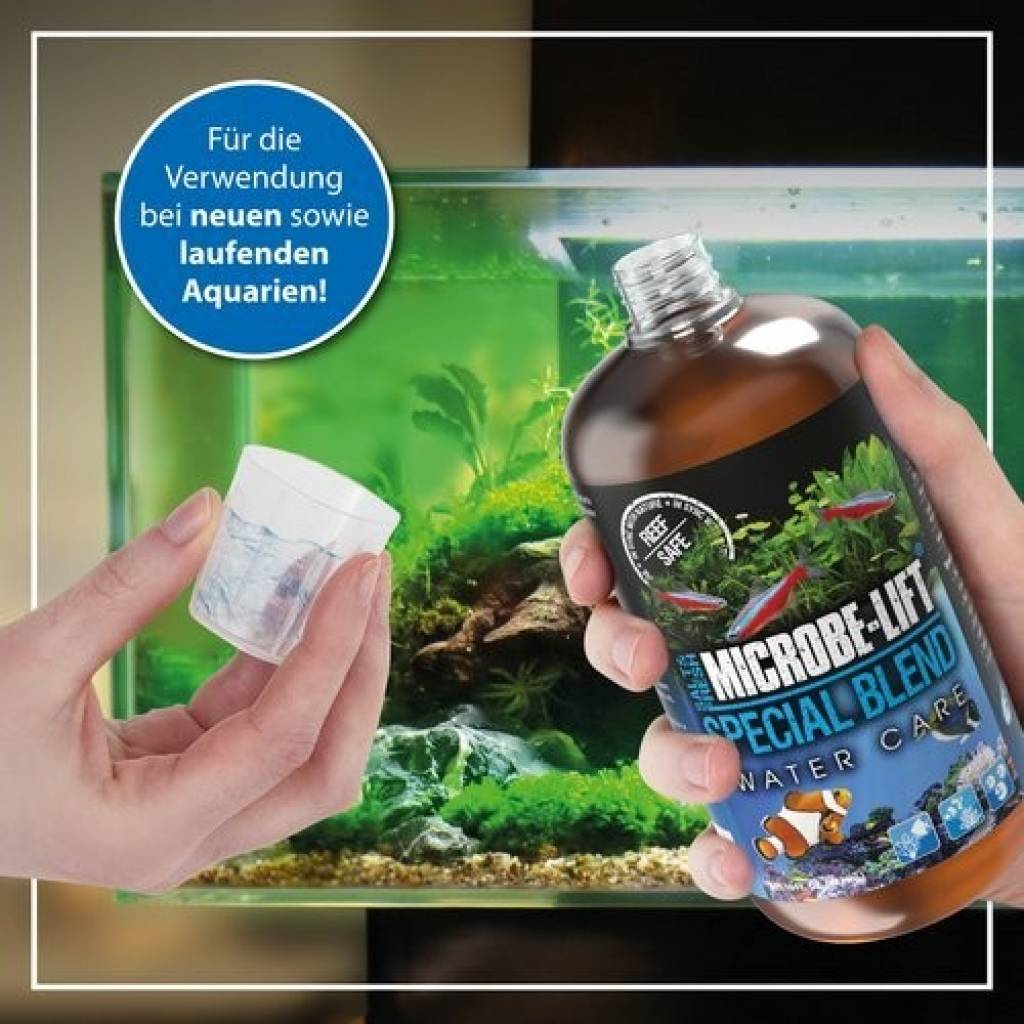 SPECIAL BLEND - Wasserpflegebakterien