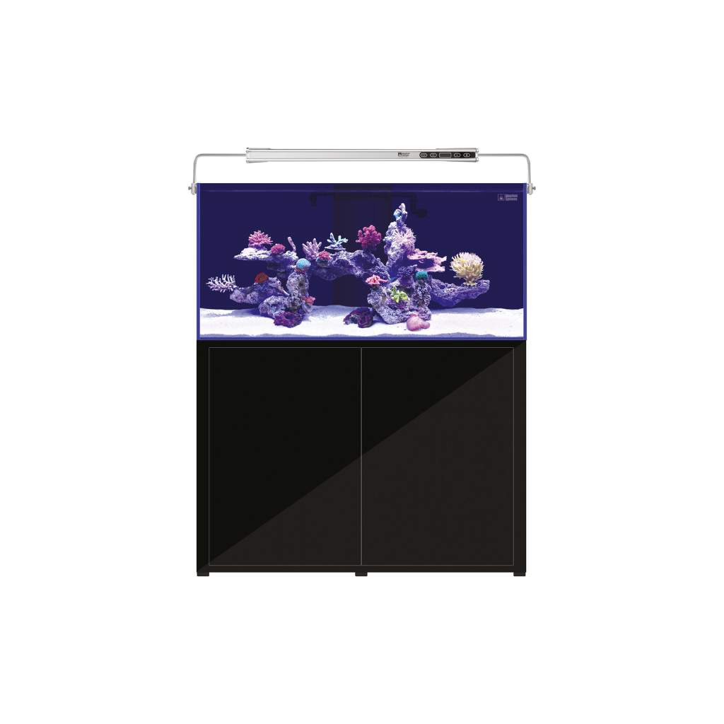 L'Aquarium 2.0