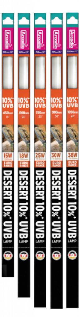 T8 Euro Range Desert 10% UVB Lamp