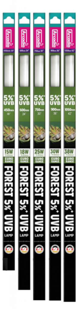 T8 Euro Range Forest 5% UVB Lamp