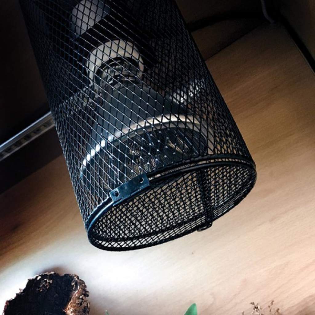 Heat Lamp Cage
