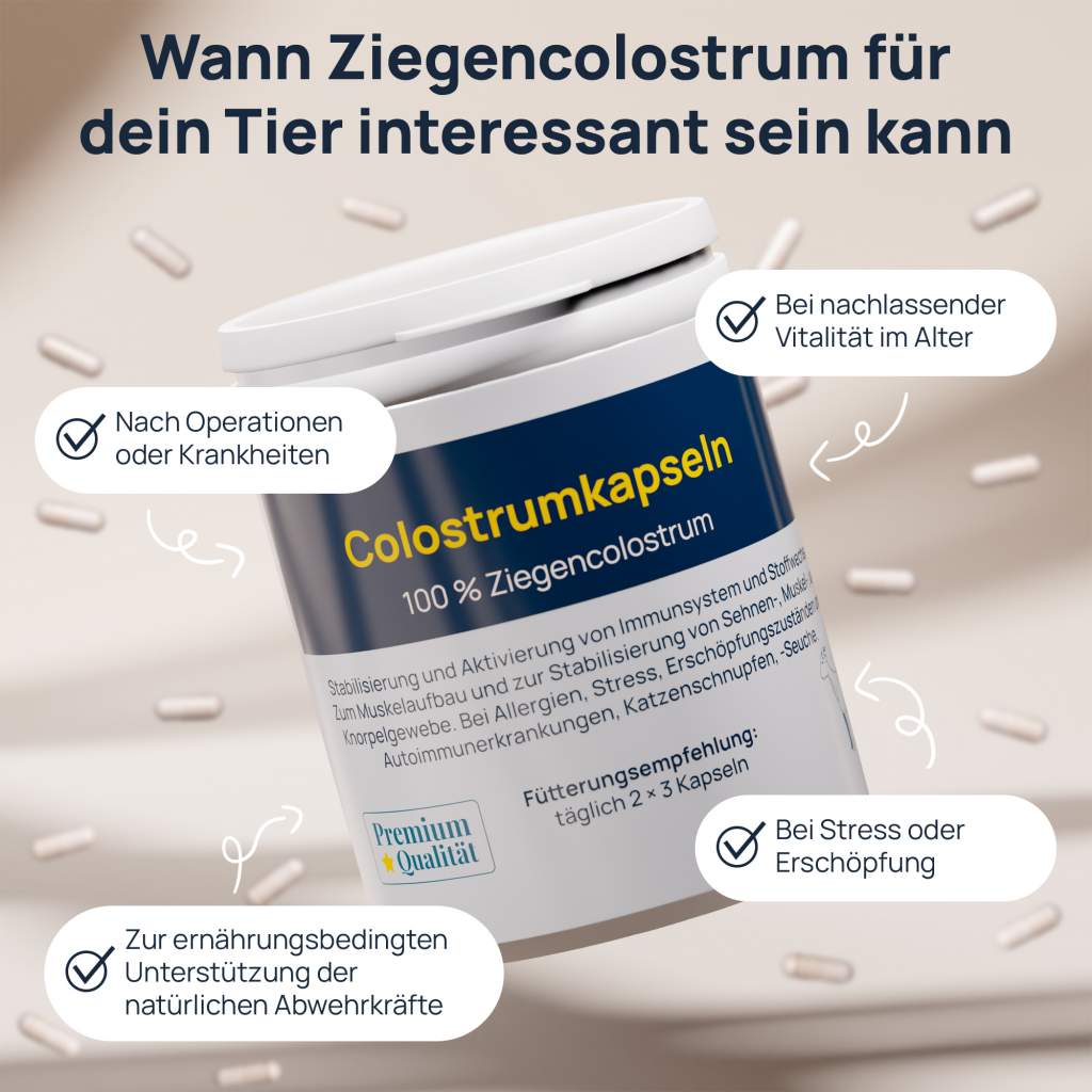 Ziegen-Colostrum