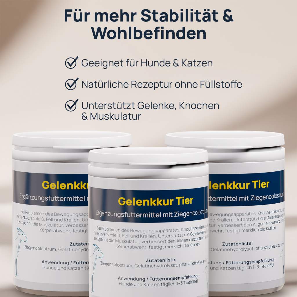 Gelenkkur