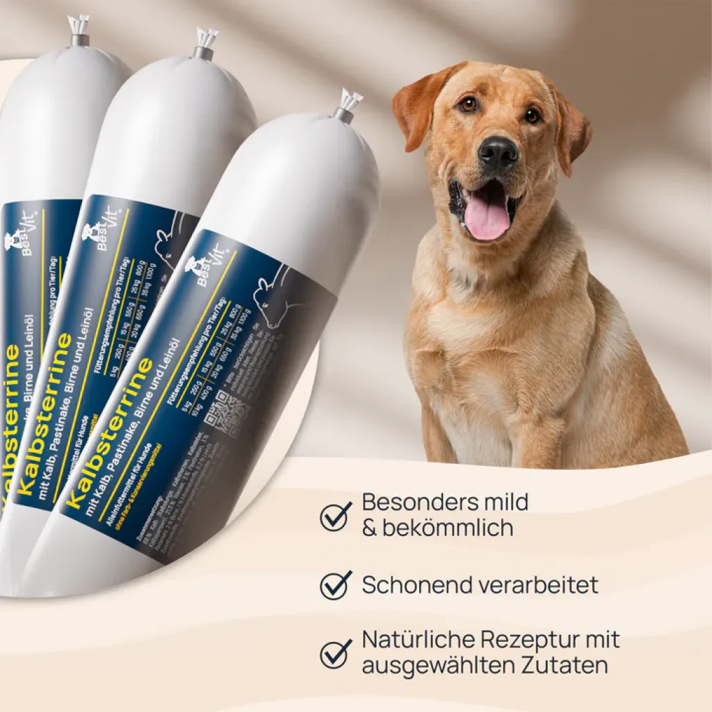 Kalbsterrine