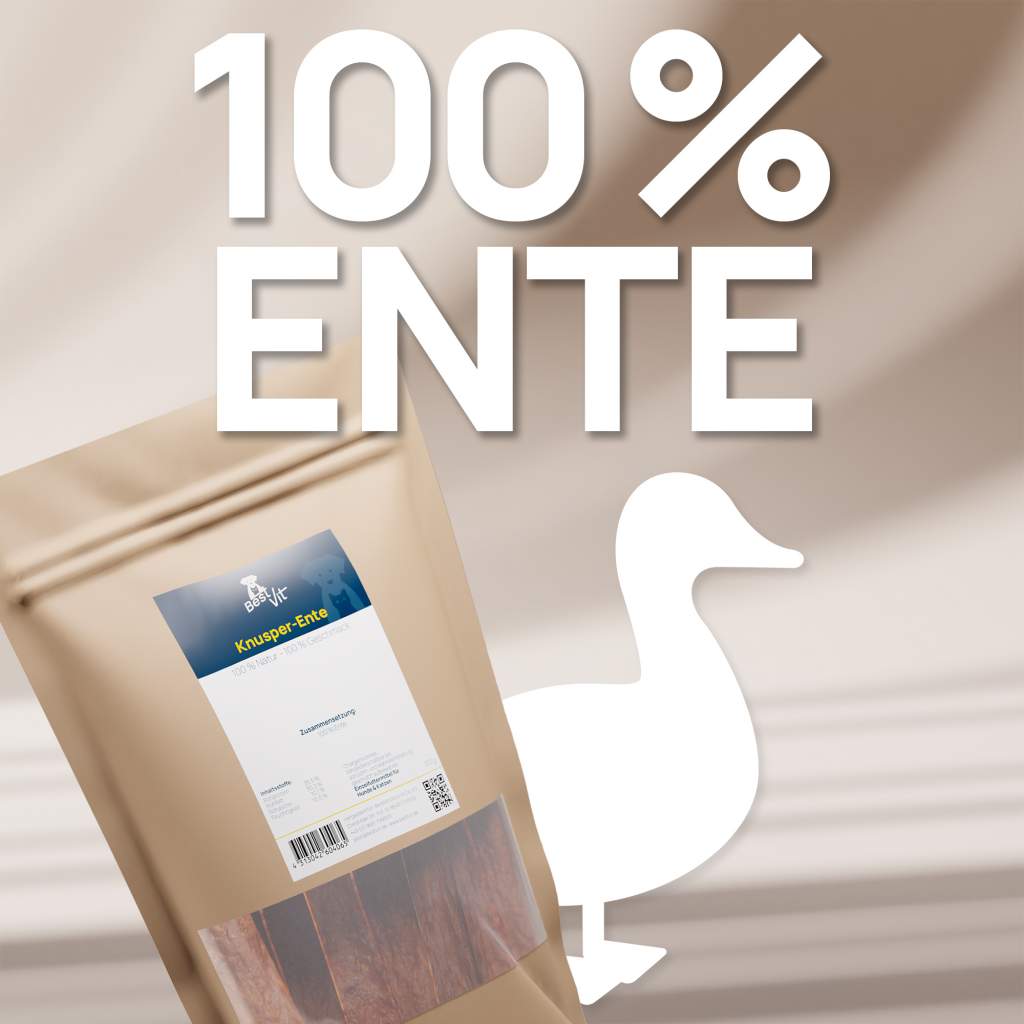 Knusper-Ente