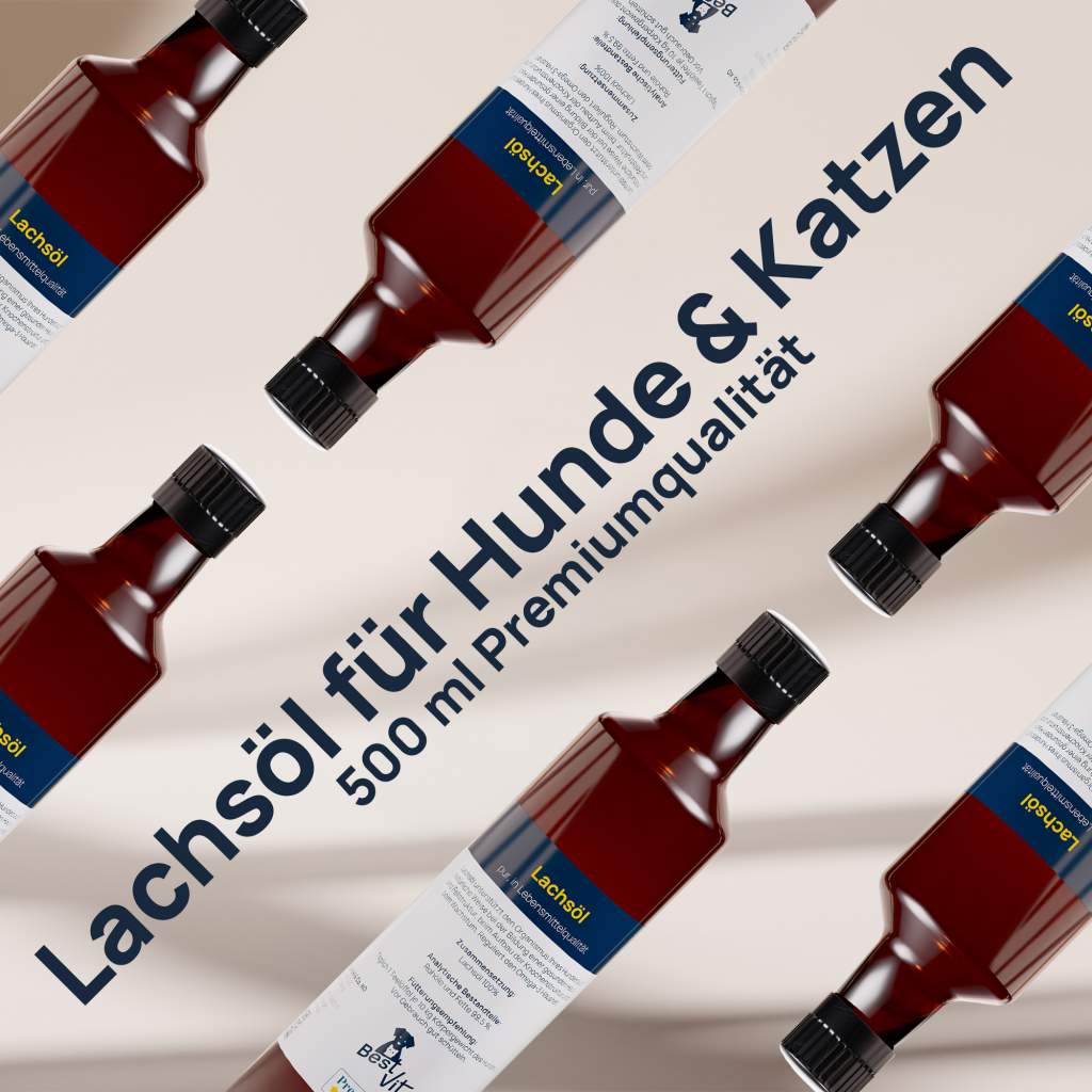 Lachsöl