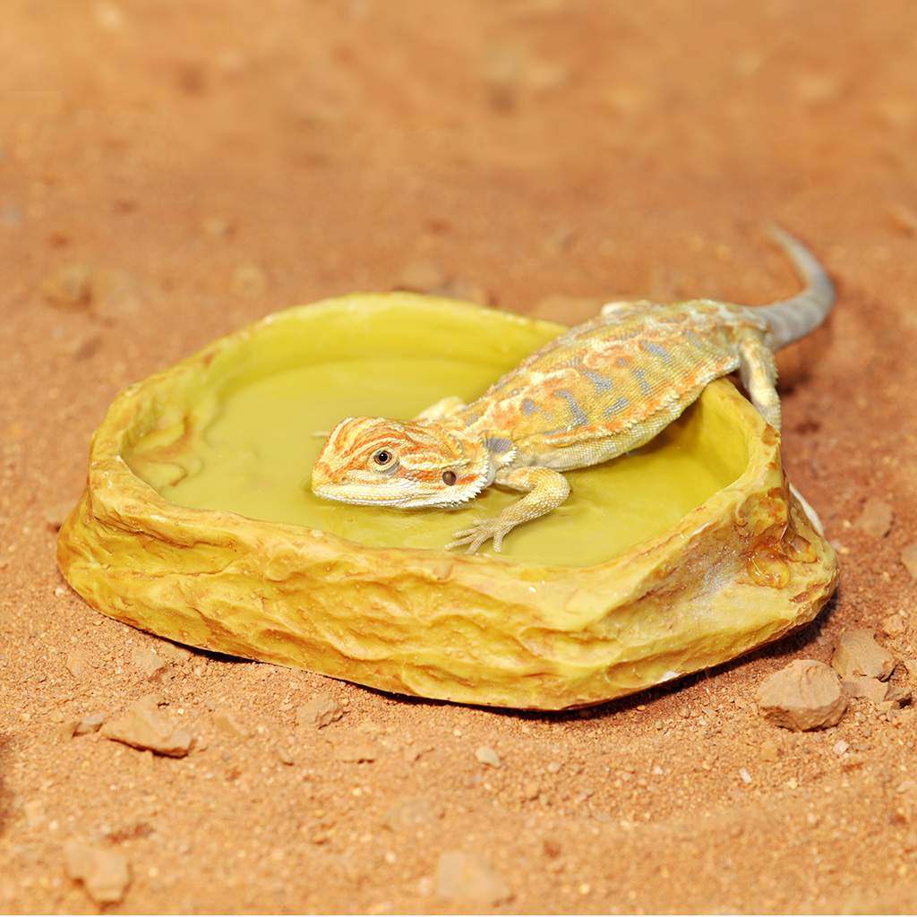 HabiStat Wasserschale aus Sandstein