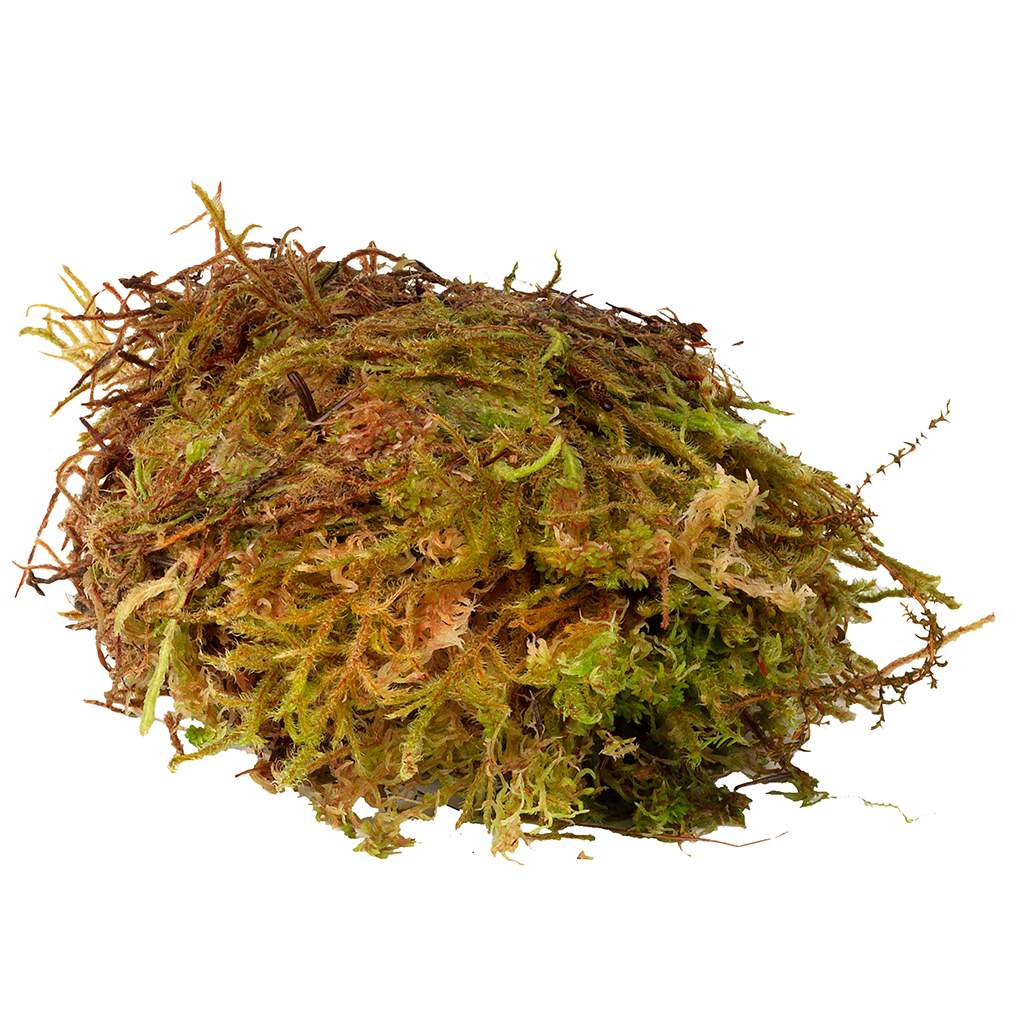 HabiStat Sphagnum Moos