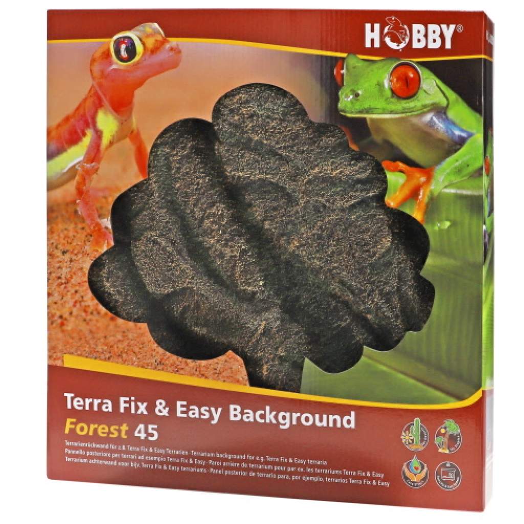 Terra Fix & Easy Hintergrund