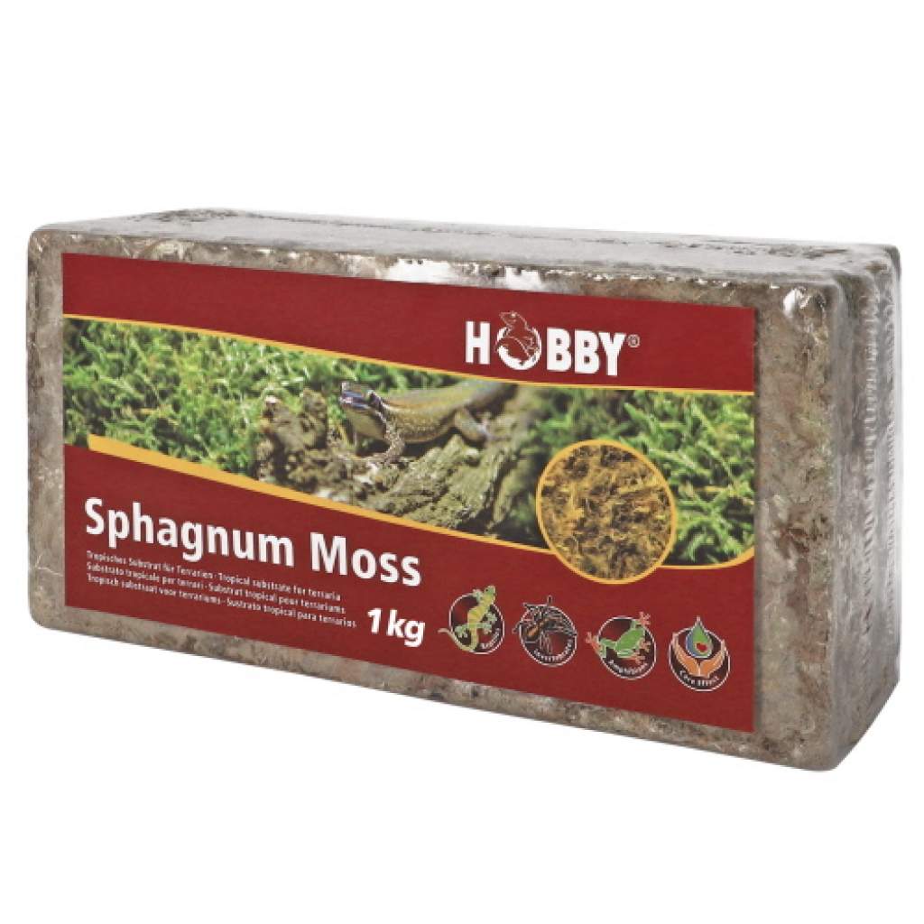 Sphagnum Moss