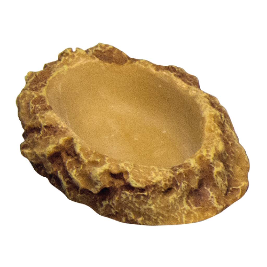Trinkschale flach