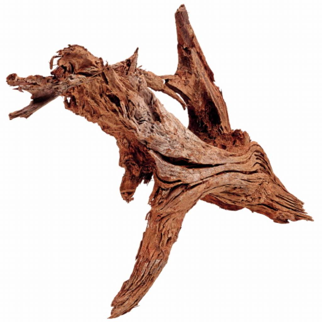 Mangrovenholz